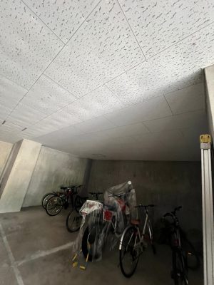 image2.jpeg